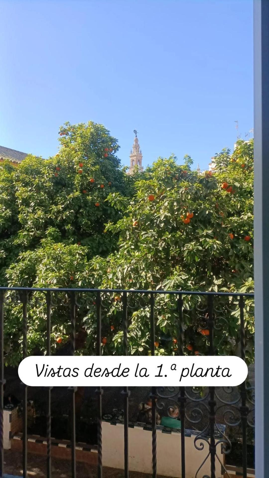 Apartamentos En La Plaza Dona Elvira, 7 Σεβίλλη Εξωτερικό φωτογραφία